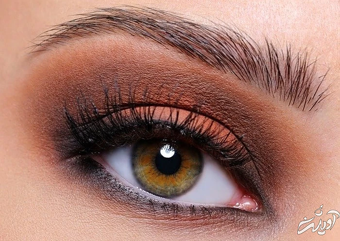 استفاده از سایه های قهوه ای آرایش اسموکی